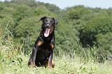 BEAUCERON 450